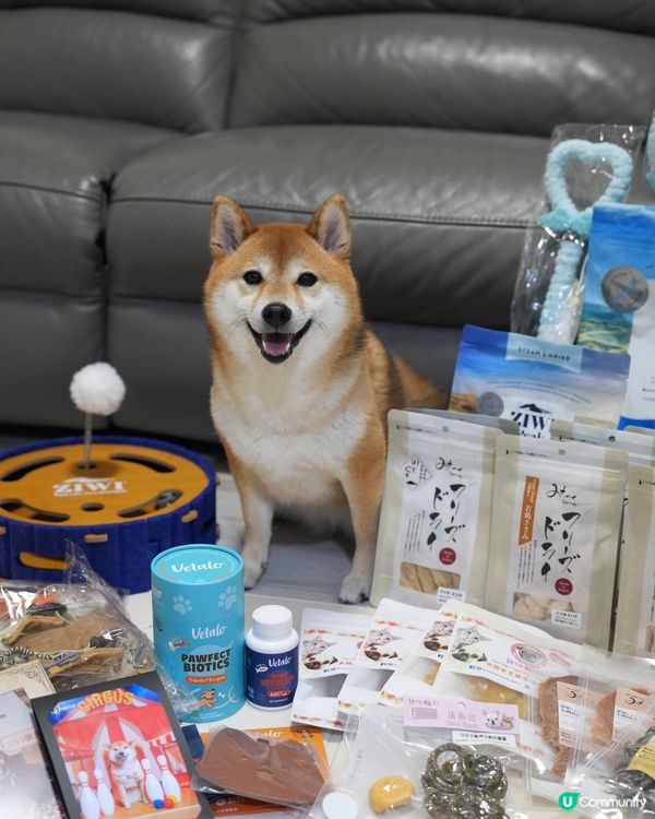 寵物展收穫滿滿