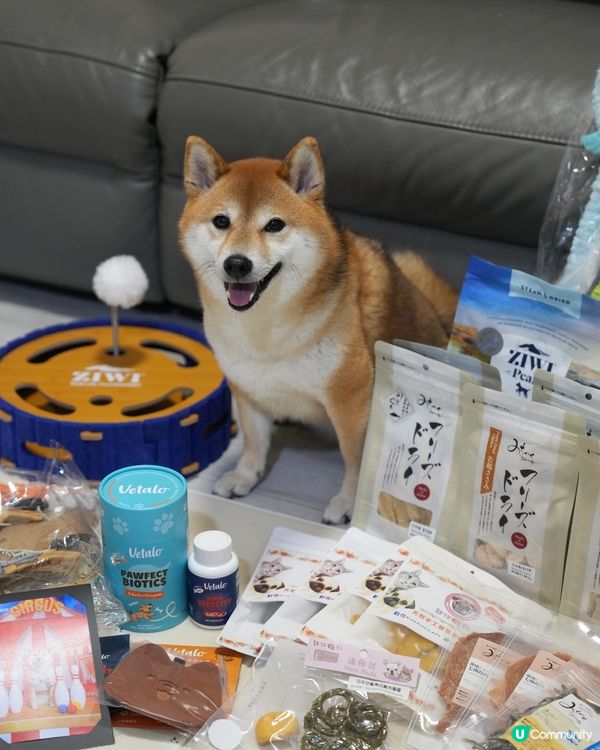 寵物展收穫滿滿