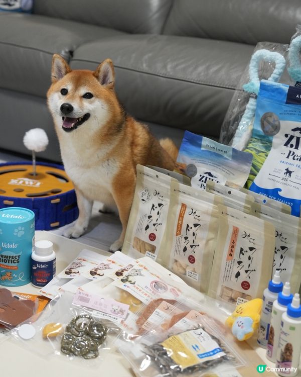 寵物展收穫滿滿