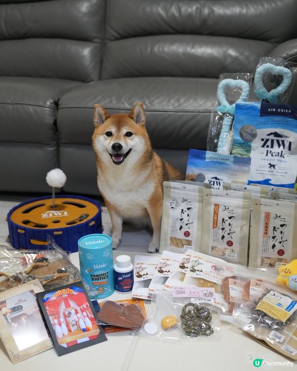 寵物展收穫滿滿