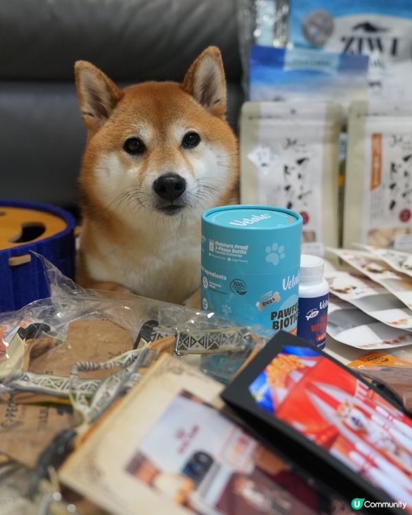 寵物展收穫滿滿