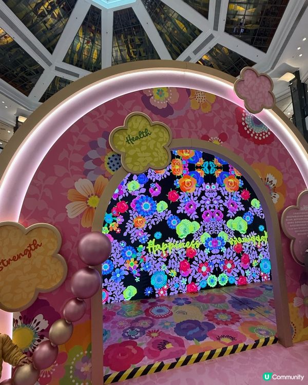 荷里活廣場花花世界🌸迎新春！