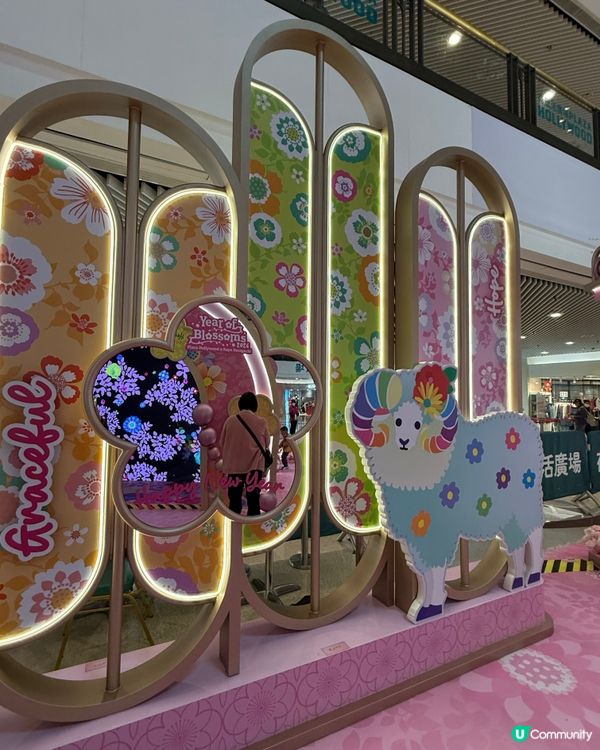 荷里活廣場花花世界🌸迎新春！