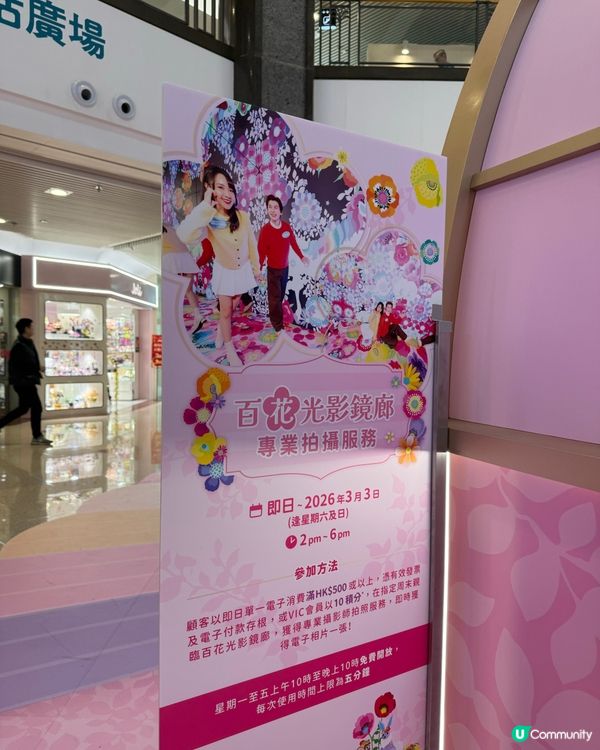 荷里活廣場花花世界🌸迎新春！