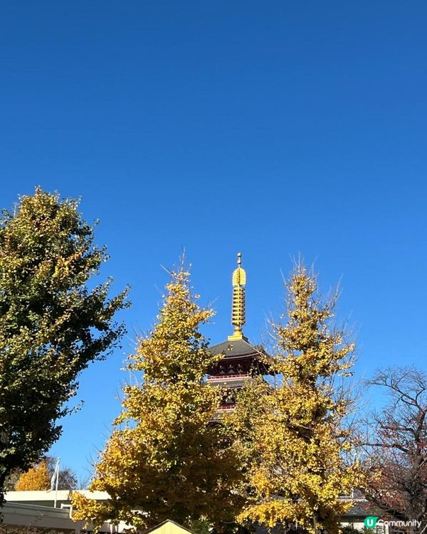 淺草「仲見世商店街」