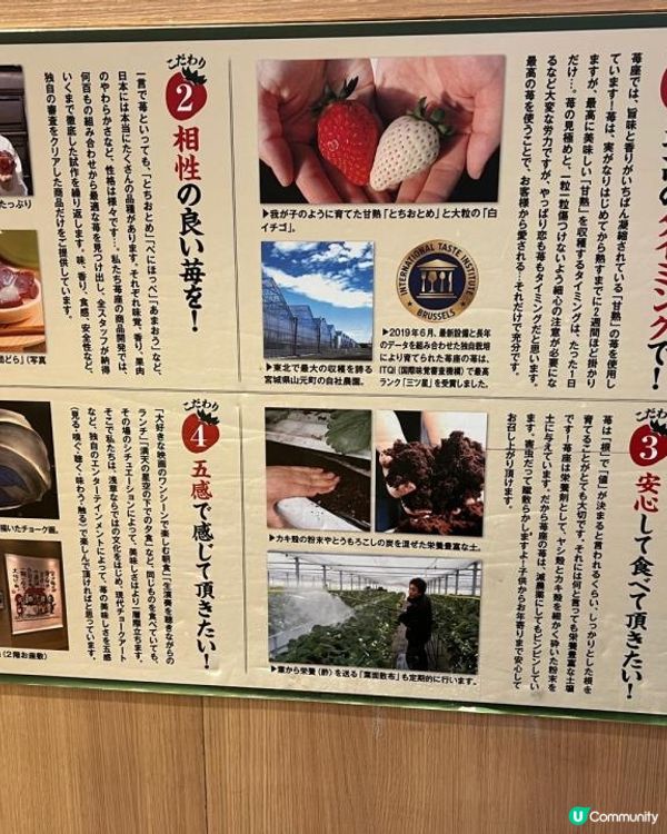 淺草莓座🍓