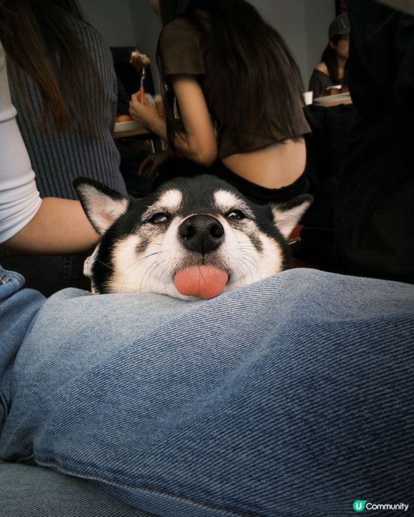 周未嘅休閑丨韓式咖啡店☕️