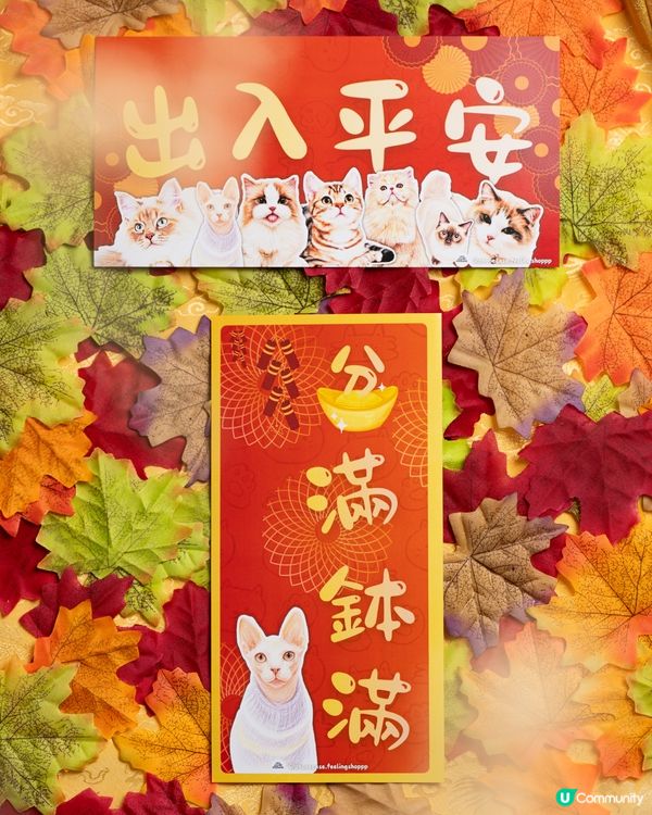 無毛貓揮春💰馬年旺！✨