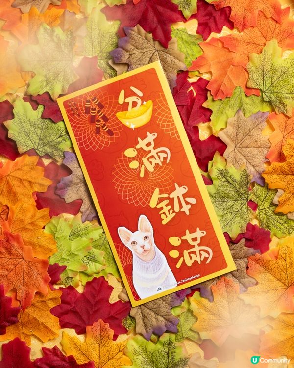 無毛貓揮春💰馬年旺！✨