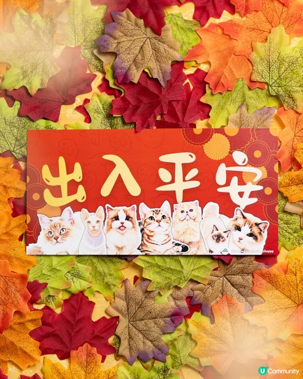 無毛貓揮春💰馬年旺！✨