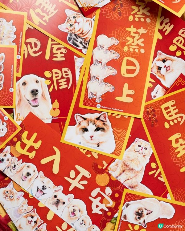 無毛貓揮春💰馬年旺！✨