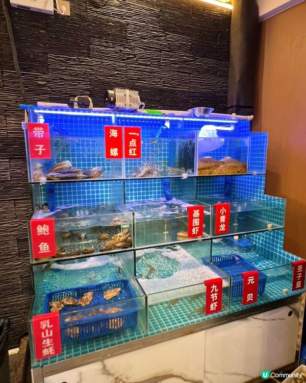 潤滿南風椰子雞，羅湖口岸必食！🥥🐔