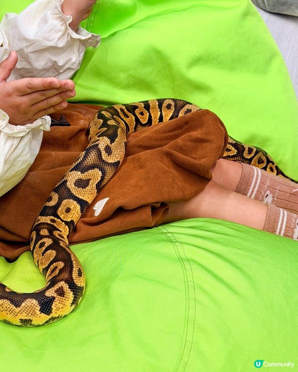 本地遊｜打開我對異寵的新世界🦎