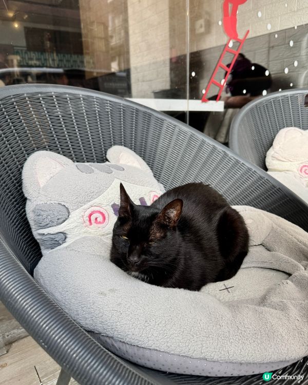 糖宮甜品專門店(積信街) Dessert Palace（大田