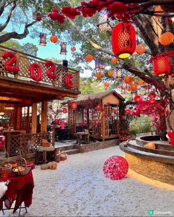 豆伴花園新年賞花海！🧧✨