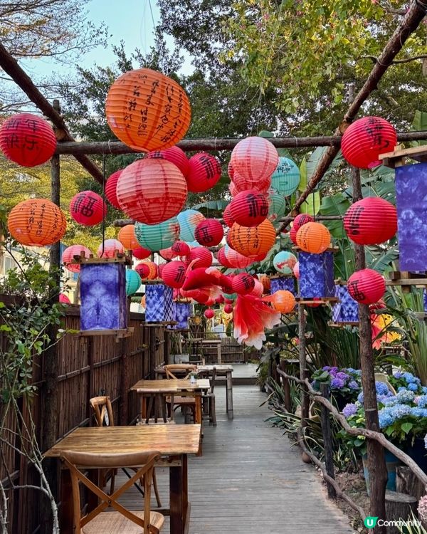 豆伴花園新年賞花海！🧧✨