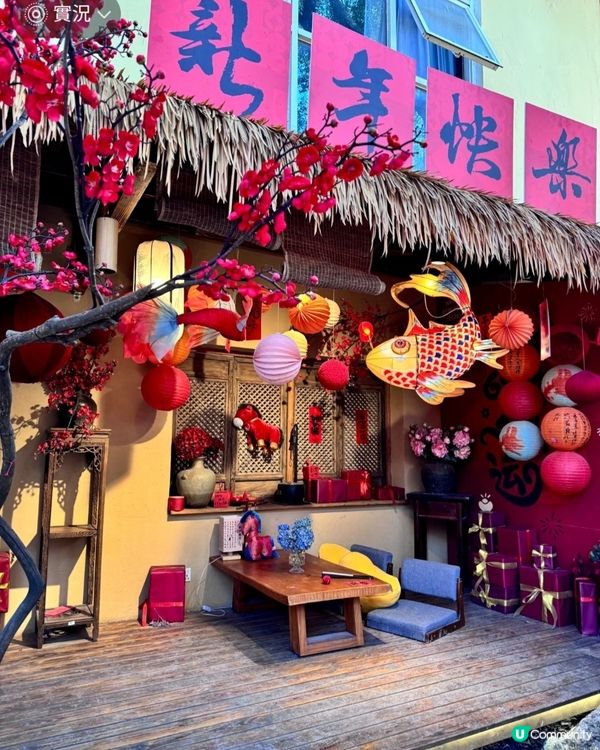 豆伴花園新年賞花海！🧧✨