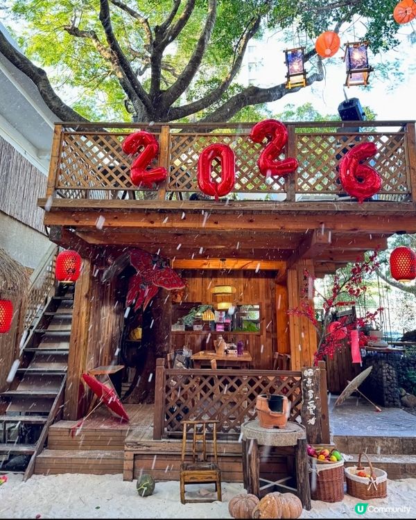 豆伴花園新年賞花海！🧧✨