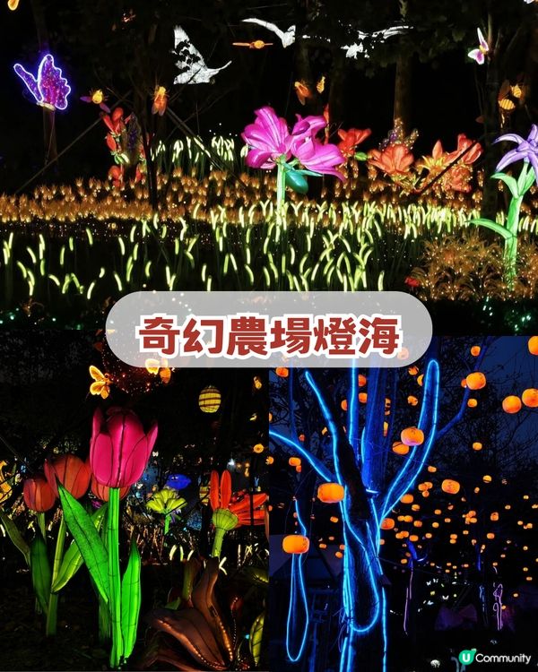 深圳2026年新春必去4大燈會🌟王者榮耀主題+非遺燈海+五大瑞獸