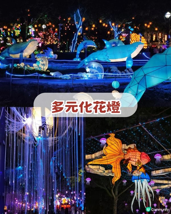 深圳2026年新春必去4大燈會🌟王者榮耀主題+非遺燈海+五大瑞獸