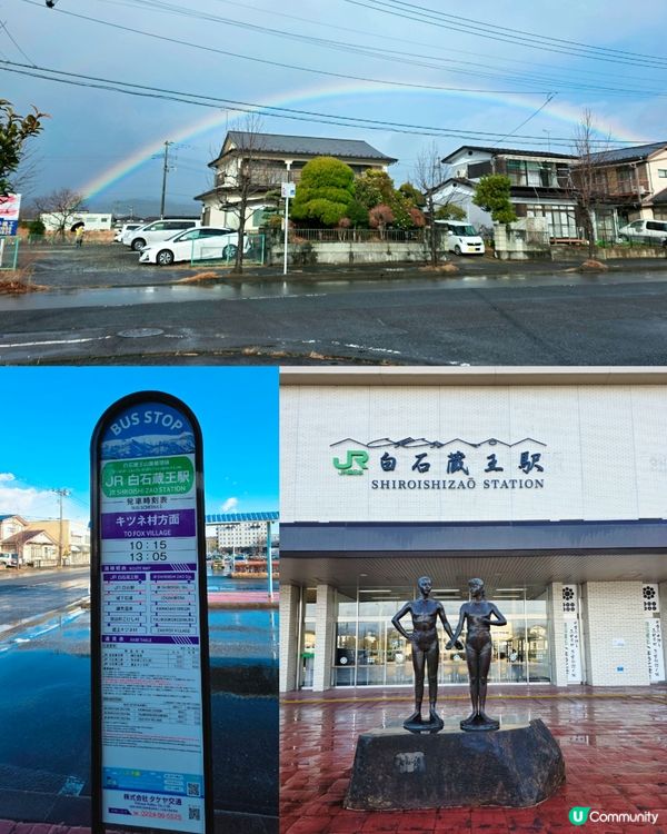 狐狸村抱抱體驗！🦊🫂❤️