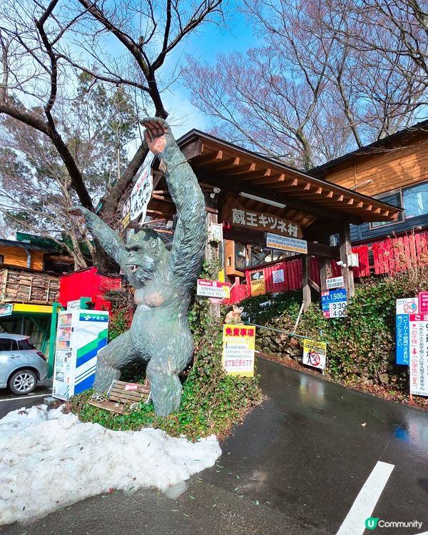 狐狸村抱抱體驗！🦊🫂❤️