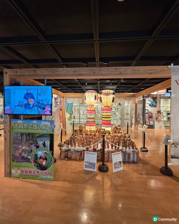 狐狸村抱抱體驗！🦊🫂❤️