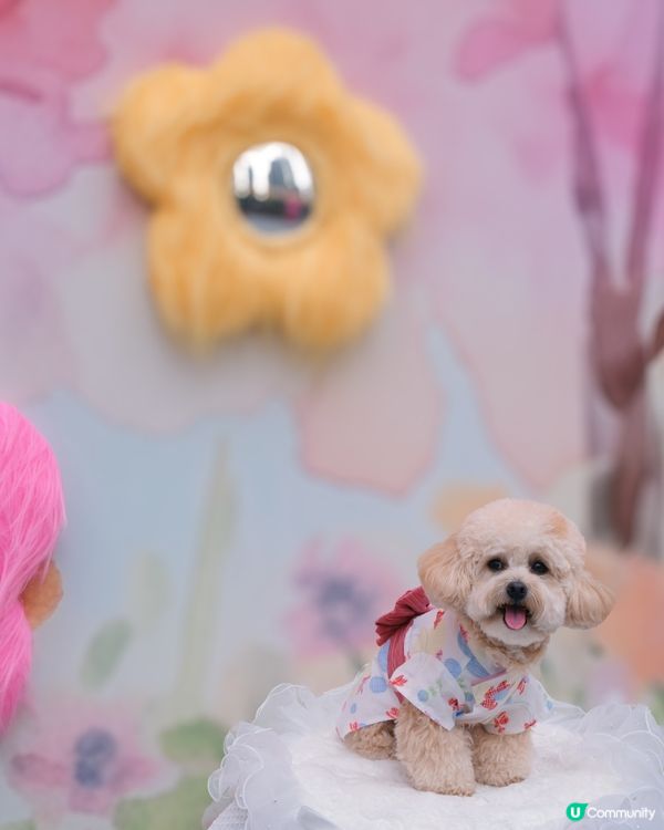 新年諗唔到去邊？不如去荃灣廣場騎馬溜冰囉🎠⛸️