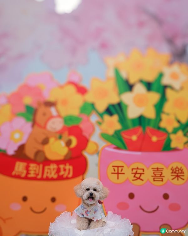 新年諗唔到去邊？不如去荃灣廣場騎馬溜冰囉🎠⛸️