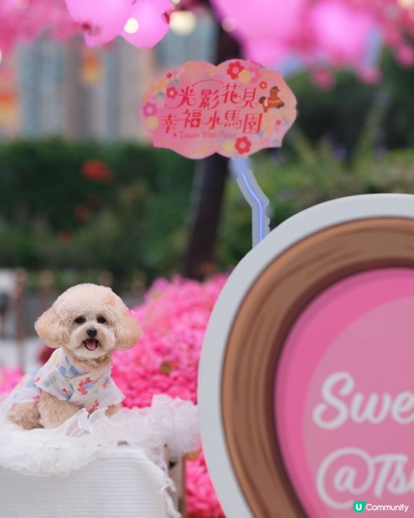 新年諗唔到去邊？不如去荃灣廣場騎馬溜冰囉🎠⛸️