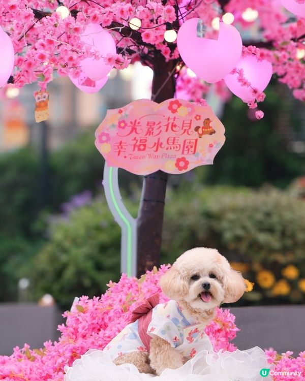 新年諗唔到去邊？不如去荃灣廣場騎馬溜冰囉🎠⛸️