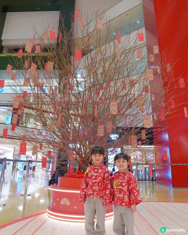 2026新年打卡｜太古城中心｜松與松《福運松林》