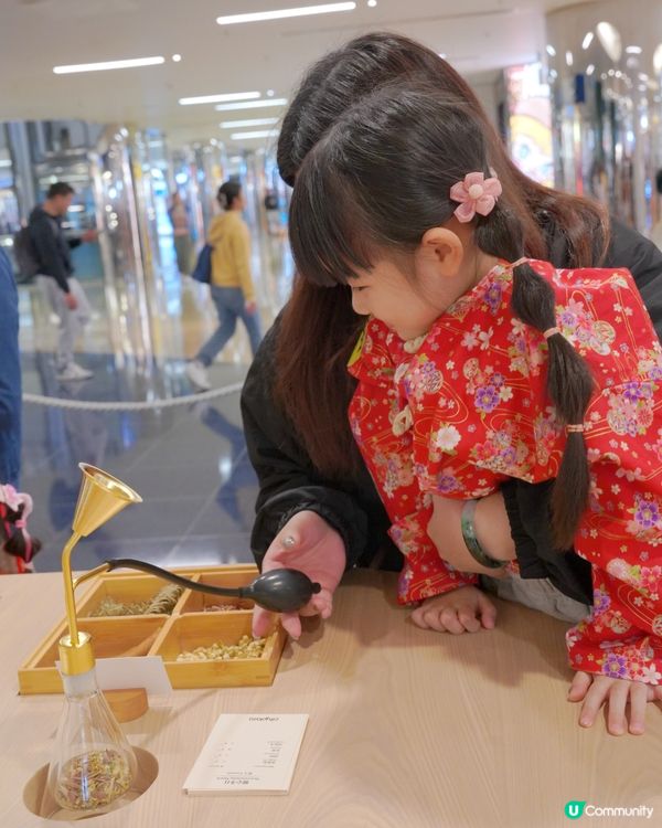 2026新年打卡｜太古城中心｜松與松《福運松林》