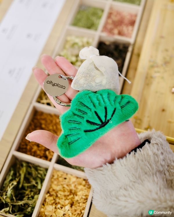 松林療癒！太古城中心新春打卡｢福運松林｣ 🌳✨