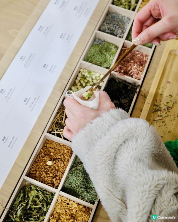 松林療癒！太古城中心新春打卡｢福運松林｣ 🌳✨