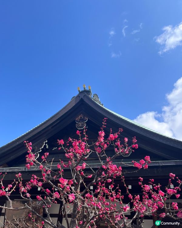 日本必去松屋牛丼飯！平靚正！😋