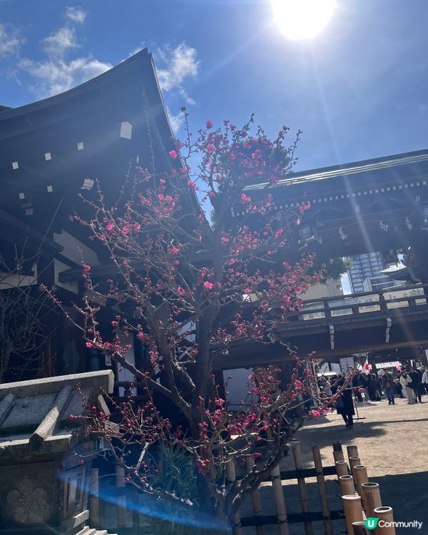 日本必去松屋牛丼飯！平靚正！😋