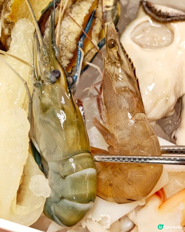 特上🤩牛小排🥩多款和牛🥢任食