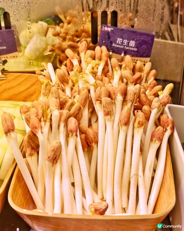 特上🤩牛小排🥩多款和牛🥢任食