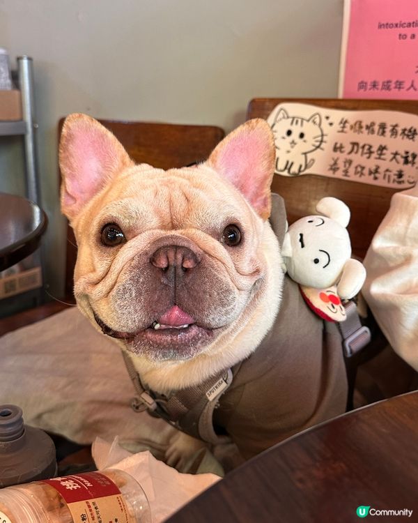 同狗狗食burger💫 深水埗小店