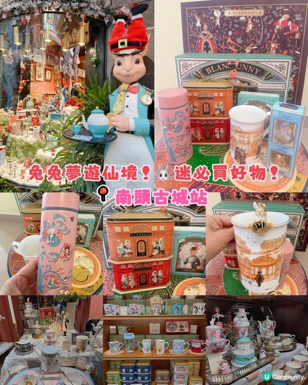 兔兔夢遊仙境！🐰迷✨ 必買好物！