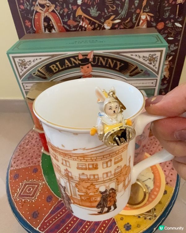 兔兔夢遊仙境！🐰迷✨ 必買好物！