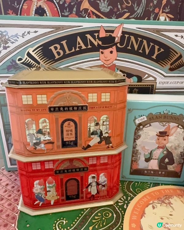 兔兔夢遊仙境！🐰迷✨ 必買好物！