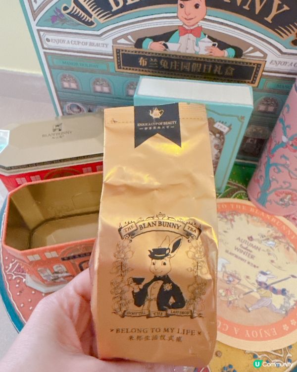 兔兔夢遊仙境！🐰迷✨ 必買好物！