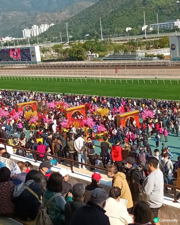 新春開運王