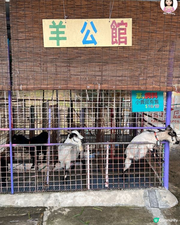 親子全日放電好去處