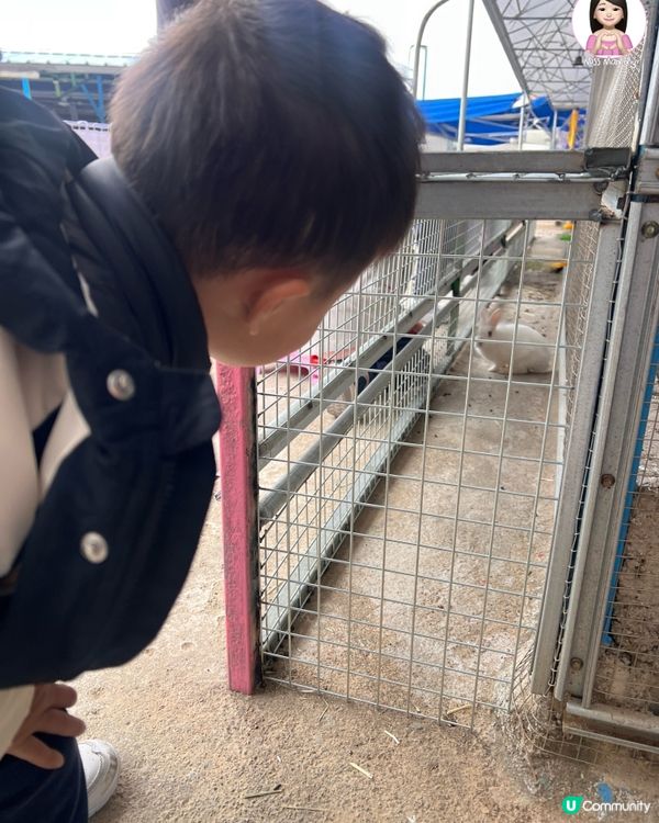 親子全日放電好去處