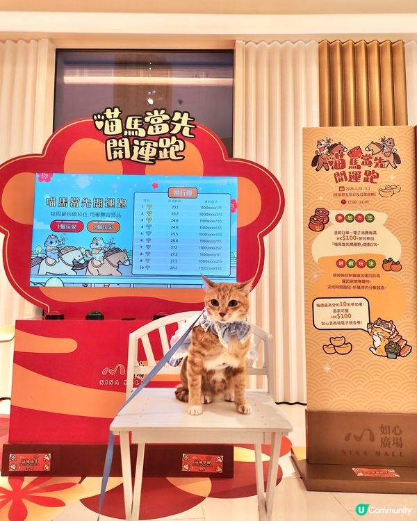 🐱喵來福到開運賞