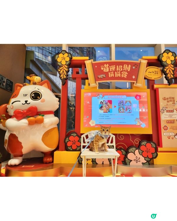 🐱喵來福到開運賞