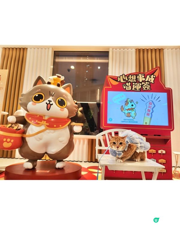 🐱喵來福到開運賞